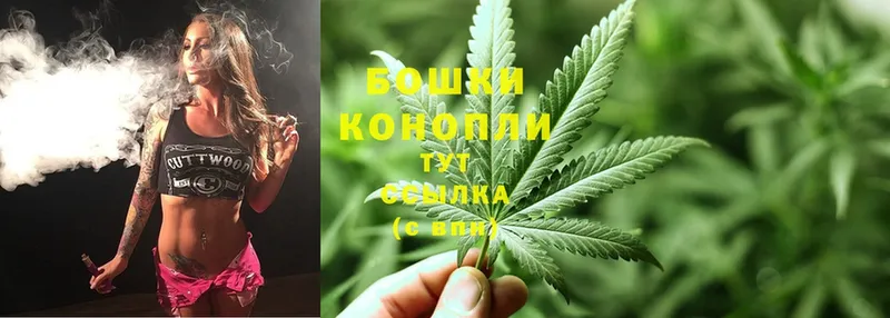 Бошки марихуана Ganja  купить закладку  Устюжна 